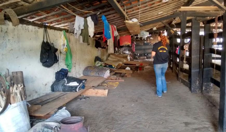 Justiça condena donos de fazenda a pagar R$ 400 mil por manter carvoeiro em situação de escravidão em Goiás